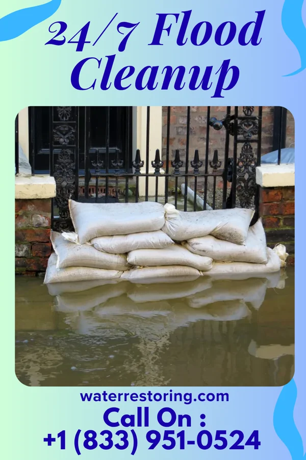 24/7 Flood Cleanup in Dalzell, IL
